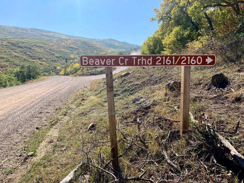 Beaver-Creek-0002